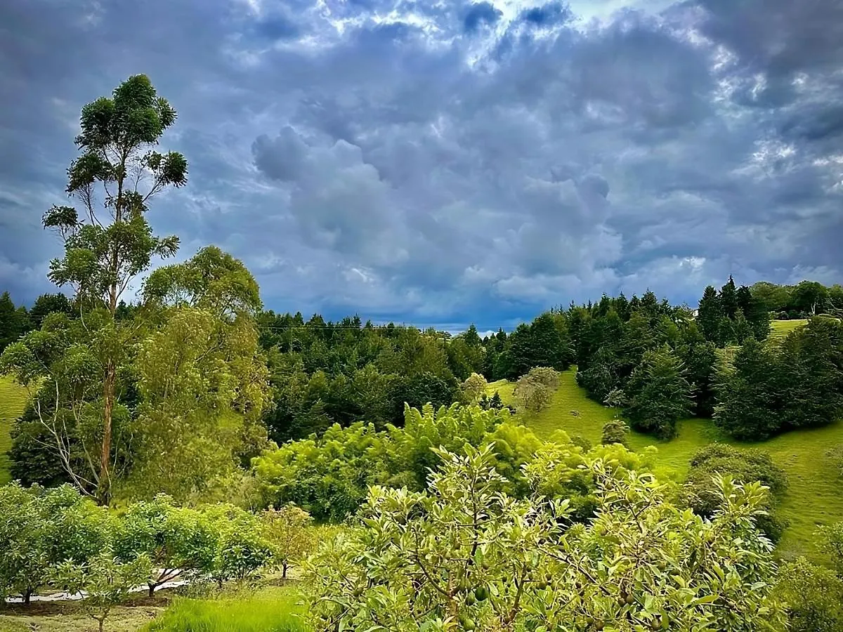 ריונגרו Oeroek Hotel קולומביה